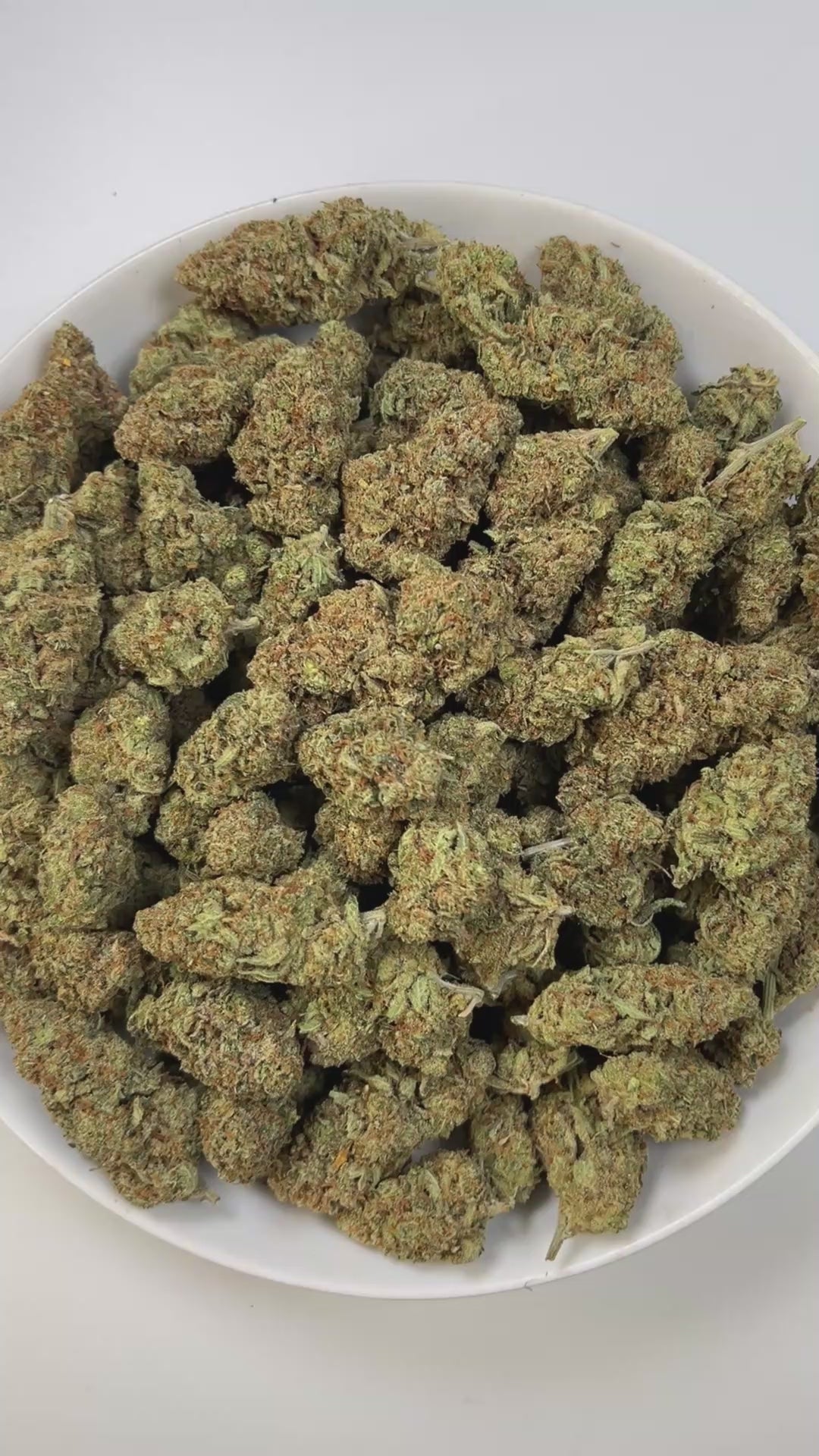 PUFFY Super Lemon Haze is a potent sativa THCa strain, a vibrant cross between Lemon Skunk and Super Silver Haze. The aroma bursts with sharp tart lemons, underscored by a chemical edge and balanced with fresh, piney undertones. Visually striking, its dense buds range from deep green to rich purple, generously frosted with sparkling trichomes and accented by vivid orange hairs. Consumers often report that it provides an energizing boost, elevates mood with a sense of euphoria, and sharpens mental clarity an