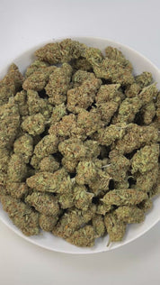 PUFFY Super Lemon Haze is a potent sativa THCa strain, a vibrant cross between Lemon Skunk and Super Silver Haze. The aroma bursts with sharp tart lemons, underscored by a chemical edge and balanced with fresh, piney undertones. Visually striking, its dense buds range from deep green to rich purple, generously frosted with sparkling trichomes and accented by vivid orange hairs. Consumers often report that it provides an energizing boost, elevates mood with a sense of euphoria, and sharpens mental clarity an