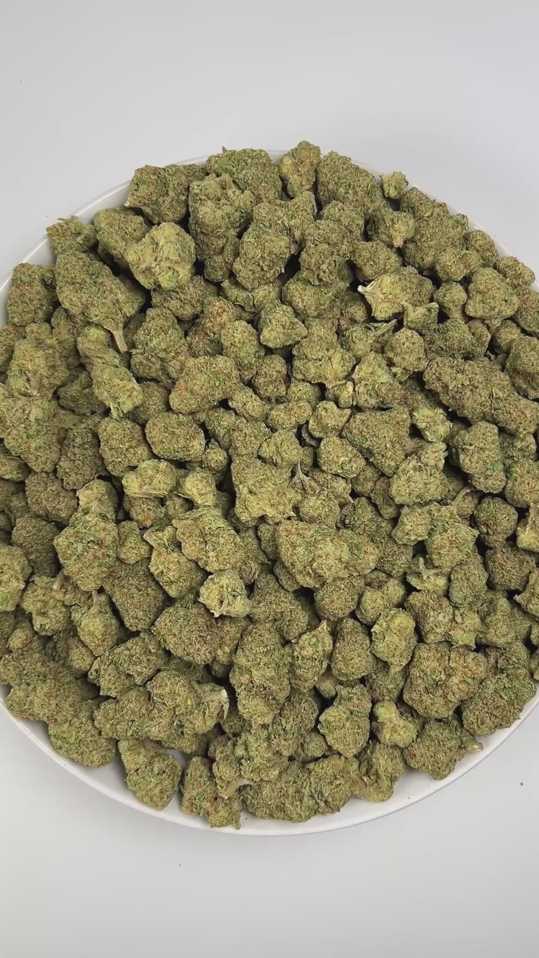 PUFFY Gelonade X Biscotti is a sativa-dominant hybrid THCa strain, it’s a direct cross between Gelonade and Biscotti. The aroma combines bright, zesty citrus notes with a smooth hint of vanilla and a subtle, musky undertone. Visually, the dense buds showcase rich green hues with subtle purple undertones, bright orange pistils, and a sparkling layer of frosty trichomes. Consumers often report a balanced experience of calming body relaxation paired with an energetic, uplifting high that enhances mood, creativ