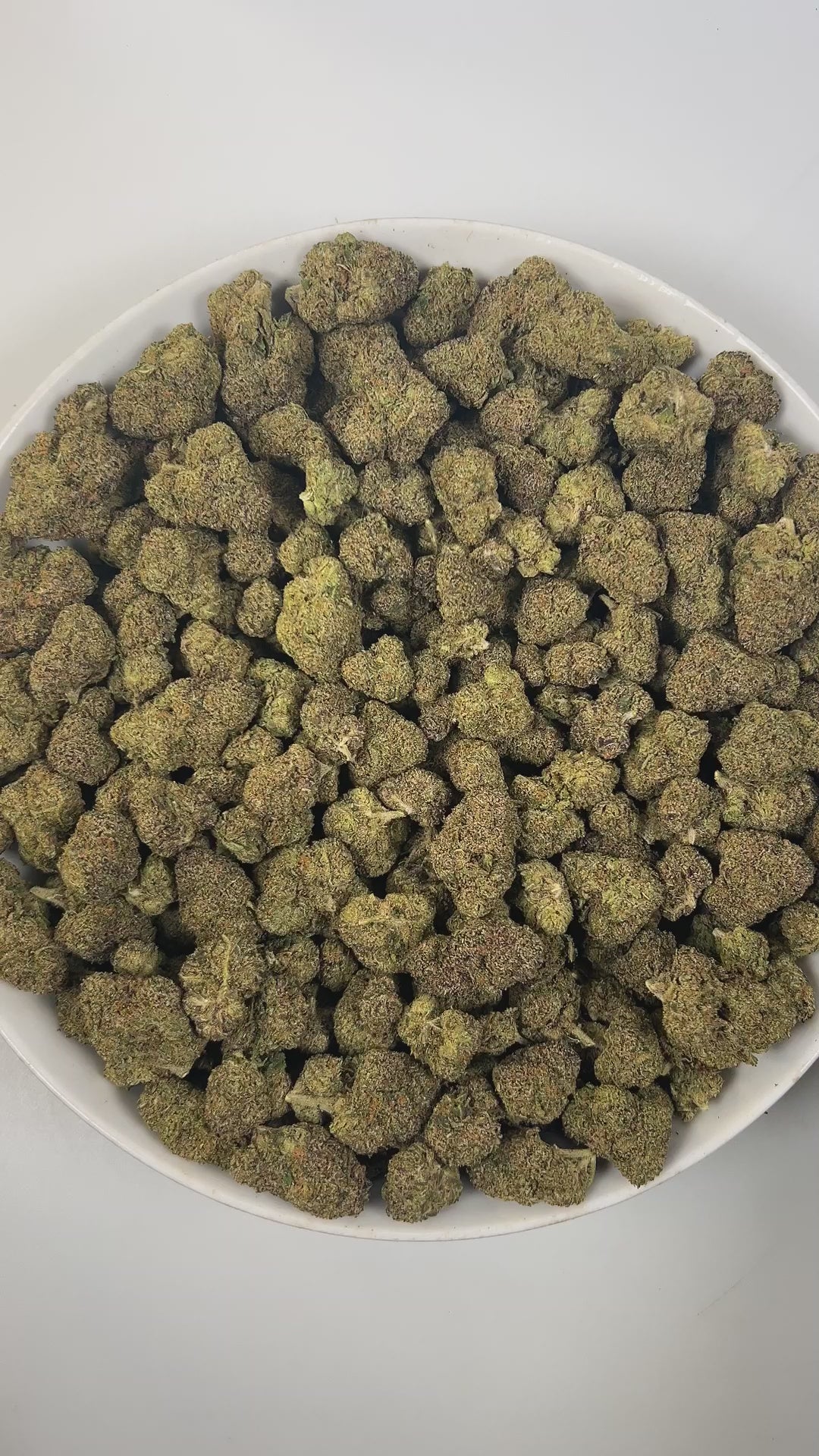 PUFFY Bacio Gelato is a premium balanced hybrid THCa strain born from the legendary cross of Sunset Sherbert and Thin Mint Girl Scout Cookies. The aroma is a rich and intriguing blend of sweet licorice, decadent chocolate, and pungent gassy undertones. Visually, buds are dense and chunky, with forest green and purple tones, fiery orange pistils, and a frosty trichome coating. Consumers describe it as gentle yet uplifting, providing clear-headed calm and a subtle mood boost that eases tension while keeping y