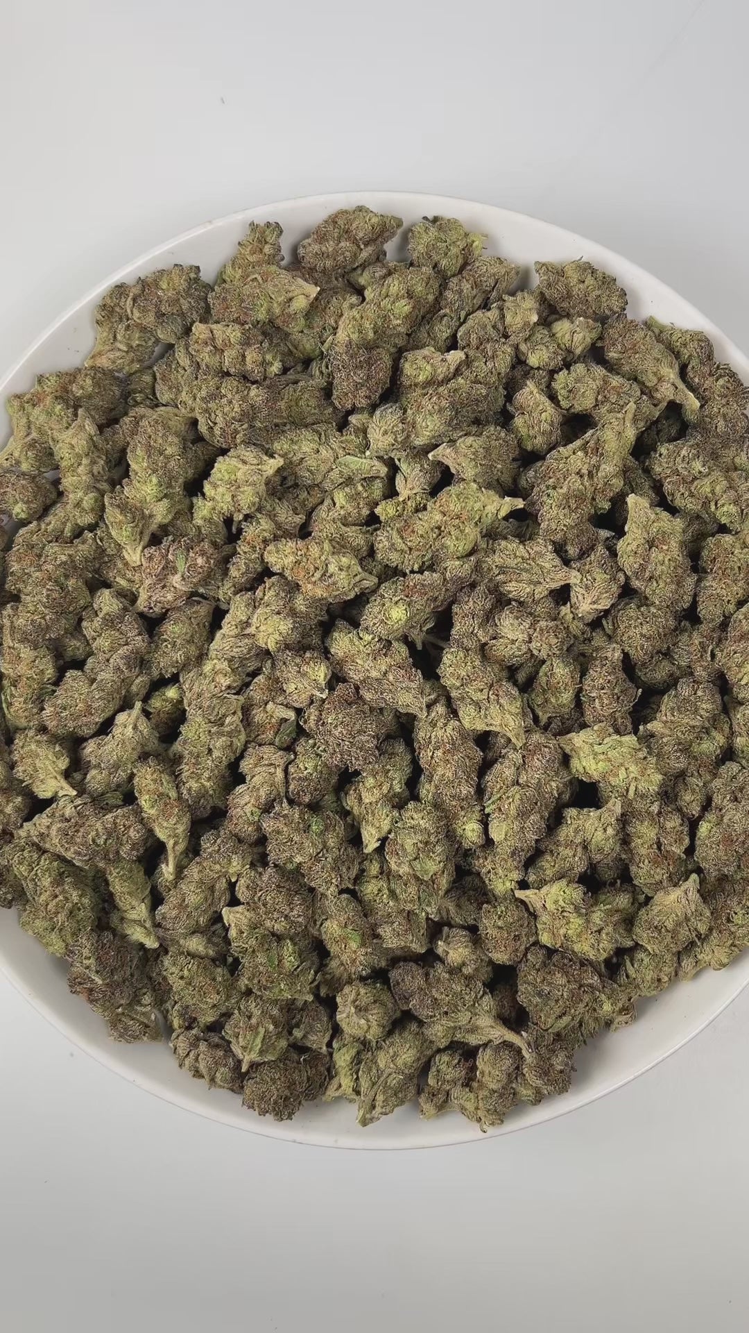 PUFFY Orange Malt is a balanced hybrid THCa strain, born from the decadent union of Ice Cream Cake and Mimosa. The aroma is a bold and unusual blend, where zesty oranges meet pungent, stinky undertones and a hint of sharp, savory onion, creating a truly distinctive sensory experience. Visually, buds are dense and frosty, featuring spring green and purple hues with bright orange pistils and a thick coating of sparkling trichomes. Consumers often report feeling euphoric, energetic, and creative, with a happy,