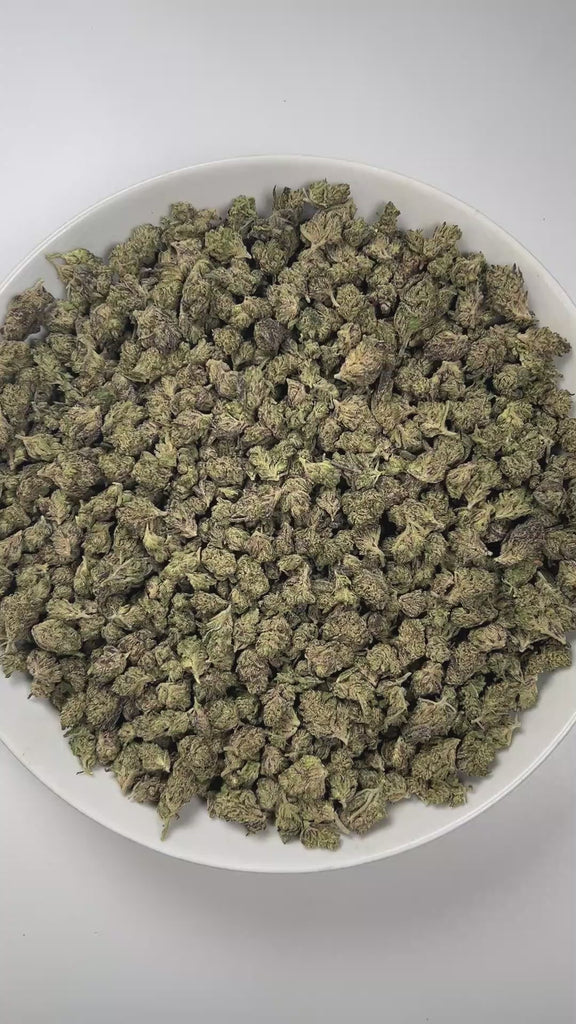 PUFFY White Truffle (smalls) is an indica-dominant hybrid THCa strain, crafted from the legendary lineage of Gorilla Butter, a standout phenotype of Gorilla Glue #4 × Peanut Butter Breath. The aroma is rich and inviting, with doughy undertones layered over an earthy base and a distinctly pungent finish that lingers pleasantly in the air. Visually striking, these medium-sized buds glisten under a thick frost of white trichomes, with vibrant orange pistils winding through deep green and purple tones. Consumer