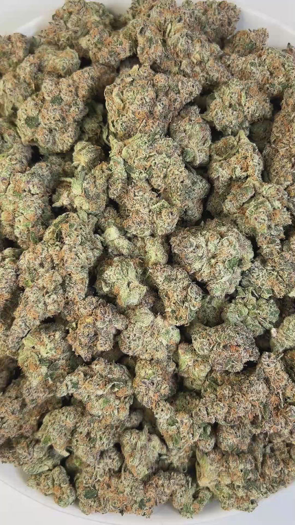 PUFFY Super Boof is a balanced hybrid THCa strain created by crossing Black Cherry Punch and Tropicana Cookies. Aroma is a rich fusion of tropical sweetness, earthy depth, warm spice, and ripe fruit.. Visually, it showcases dense, chunky buds in vivid olive green, adorned with fiery orange hairs and cloaked in a sparkling frost of trichomes. Consumers often report effects that are uplifting, euphoric, and creatively stimulating, while also providing a sense of relaxation and mental focus.
