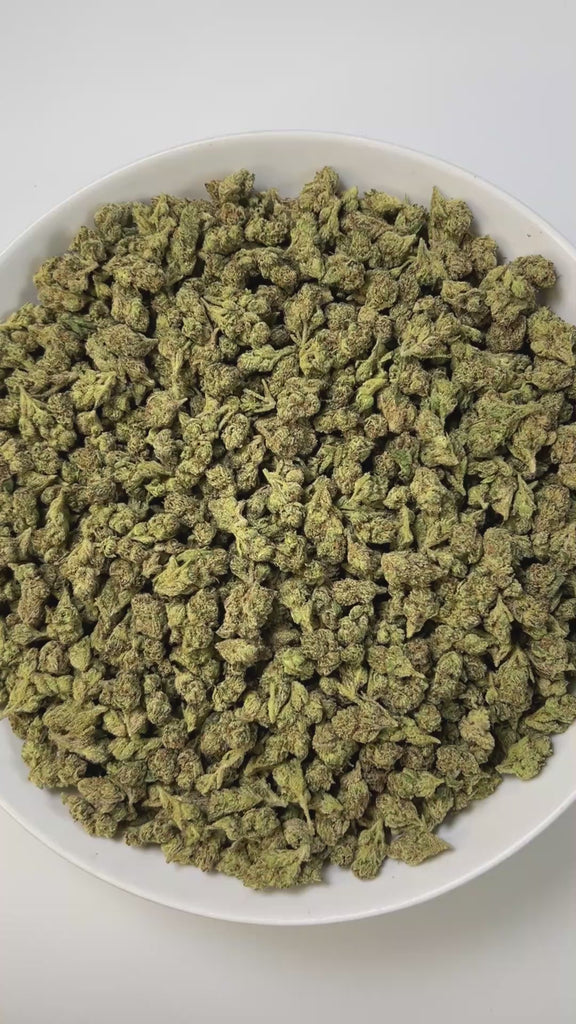 PUFFY King Gelato (smalls) is an indica-dominant hybrid THCa strain created from the potent pairing of High Octane and Curelato. The aroma presents a bold, fuel-like gasoline note, layered with sharp chemical undertones and rounded out by a smooth, rich buttery scent for a complex and striking fragrance. Visually, the dense buds showcase deep forest greens with dark accents, bright orange pistils, and a thick layer of sparkling trichomes. Consumers often describe an invigorating yet soothing experience, whe