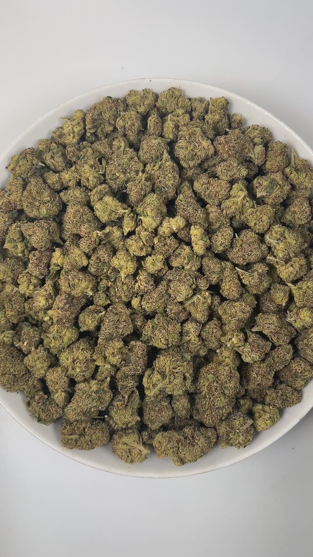 PUFFY White Cherry is a balanced hybrid THCa strain, crafted from the exceptional lineage of Cherry OG and The White. The aroma is a vibrant blend of tart cherry, tangy sourness, and subtle woody undertones. Visually, the buds are dense and striking, featuring lush green and deep purple hues, vibrant orange pistils, and a sparkling layer of trichomes. Consumers often report balanced cerebral and body effects, experiencing pleasant euphoria and relaxation, making it popular recreationally for mood uplift.