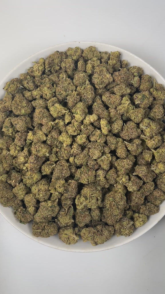 PUFFY White Cherry is a balanced hybrid THCa strain, crafted from the exceptional lineage of Cherry OG and The White. The aroma is a vibrant blend of tart cherry, tangy sourness, and subtle woody undertones. Visually, the buds are dense and striking, featuring lush green and deep purple hues, vibrant orange pistils, and a sparkling layer of trichomes. Consumers often report balanced cerebral and body effects, experiencing pleasant euphoria and relaxation, making it popular recreationally for mood uplift.