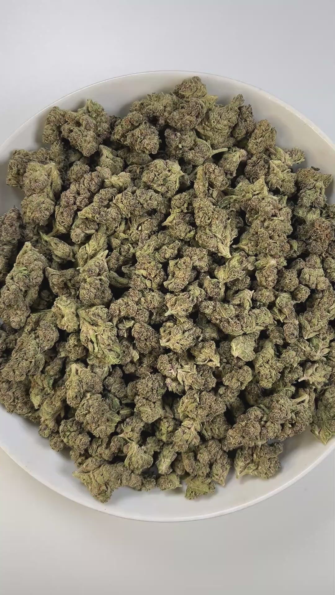 PUFFY Tropical Gelato is a balanced hybrid THCa strain, born from the flavorful cross of Gelato and Pineapple. The aroma combines tropical sweetness with creamy undertones and a subtle earthy finish, creating a rich and balanced scent profile. Visually, the buds are dense with rich green tones, subtle purples, bright orange pistils, and a sparkling frost of trichomes. Consumers often report a bright, euphoric lift that sparks creativity and focus, balanced by a smooth, calming body relaxation that keeps the