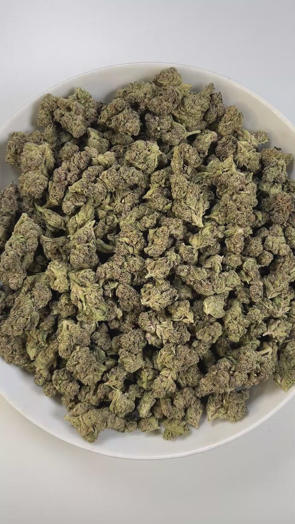PUFFY Tropical Gelato is a balanced hybrid THCa strain, born from the flavorful cross of Gelato and Pineapple. The aroma combines tropical sweetness with creamy undertones and a subtle earthy finish, creating a rich and balanced scent profile. Visually, the buds are dense with rich green tones, subtle purples, bright orange pistils, and a sparkling frost of trichomes. Consumers often report a bright, euphoric lift that sparks creativity and focus, balanced by a smooth, calming body relaxation that keeps the