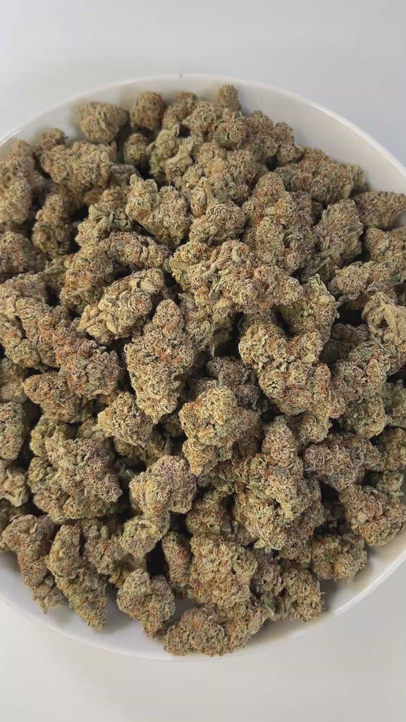 PUFFY Lemon Pastries is a sativa-dominant hybrid THCa strain born from the flavorful cross of Jet Fuel Gelato and Oreoz. The aroma is a bold fusion of sharp diesel, sweet ripe fruit, and zesty lemon, creating a tangy, nose-tingling bouquet that’s both invigorating and unforgettable. The buds showcase soft lavender and deep violet hues, fiery orange hairs, and a shimmering coat of crystal trichomes. Consumers often report a smooth, balanced high that combines a euphoric mental lift with a calming body buzz, 