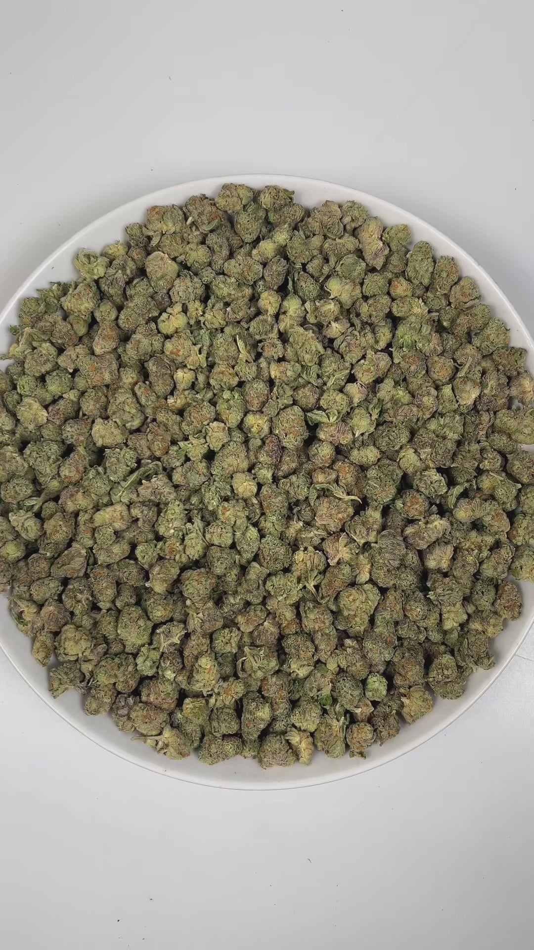 PUFFY Permanent Marker (smalls) is an indica-dominant hybrid THCa strain, born from the complex cross of Biscotti, Jealousy, and Sherbet BX. The aroma is a rich blend of herbal notes layered with warm spices, highlighted by distinct hints of licorice and clove. Visually striking, the buds feature deep purple and green hues, bright orange pistils, and a thick coating of sparkling resinous trichomes. Consumers often report a blissful euphoria that uplifts the mood, sparks creativity, creates gentle tingling s