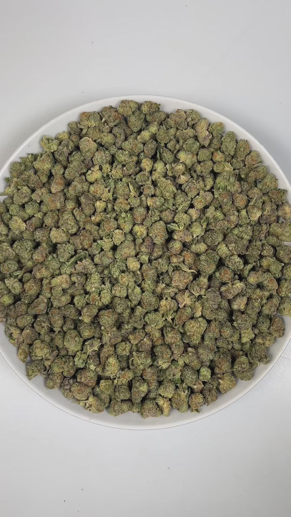 PUFFY Permanent Marker (smalls) is an indica-dominant hybrid THCa strain, born from the complex cross of Biscotti, Jealousy, and Sherbet BX. The aroma is a rich blend of herbal notes layered with warm spices, highlighted by distinct hints of licorice and clove. Visually striking, the buds feature deep purple and green hues, bright orange pistils, and a thick coating of sparkling resinous trichomes. Consumers often report a blissful euphoria that uplifts the mood, sparks creativity, creates gentle tingling s