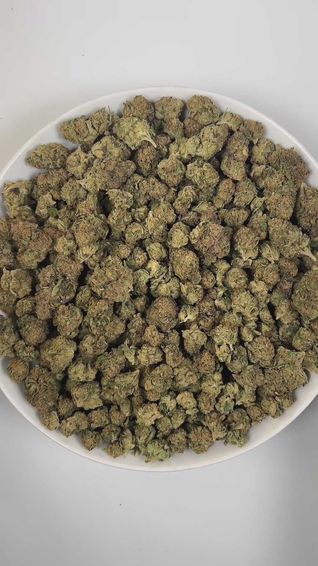 PUFFY Glitter Bomb is an indica-dominant hybrid THCa strain born from the flavorful cross of Grape Gas #10 and OGKB Blueberry Headband. The aroma profile is a rich blend of blueberry, earthy notes, and a skunky finish. Visually, the buds are dense and deep forest green with striking purple hues, bright orange pistils, and a heavy coating of sparkling white trichomes. Consumers report a bright rush of cerebral uplift that gently settles into a soothing, full-body calm, leaving them giggly, focused, and relax