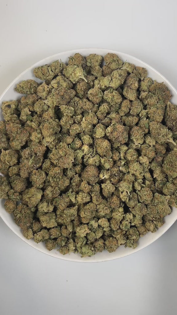 PUFFY Glitter Bomb is an indica-dominant hybrid THCa strain born from the flavorful cross of Grape Gas #10 and OGKB Blueberry Headband. The aroma profile is a rich blend of blueberry, earthy notes, and a skunky finish. Visually, the buds are dense and deep forest green with striking purple hues, bright orange pistils, and a heavy coating of sparkling white trichomes. Consumers report a bright rush of cerebral uplift that gently settles into a soothing, full-body calm, leaving them giggly, focused, and relax