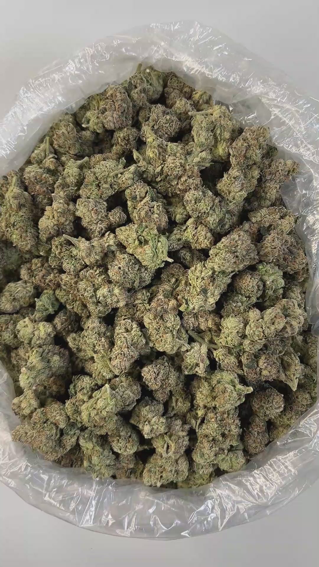 PUFFY Cherry Slushie is an indica-dominant hybrid THCa strain crafted from Cherry Pie × Purple Punch × AK-47. Its aroma bursts with sweet fruit punch layered with zesty citrus undertones, while the flavor delivers juicy cherry accented by a tangy lemon-lime twist. Visually, the buds are spade-shaped and forest-green, streaked with deep purples, thick orange pistils, and coated in frosty, crystal-dusted trichomes. Consumers often report a quick-hitting cerebral uplift bringing euphoria, focus, and creativity