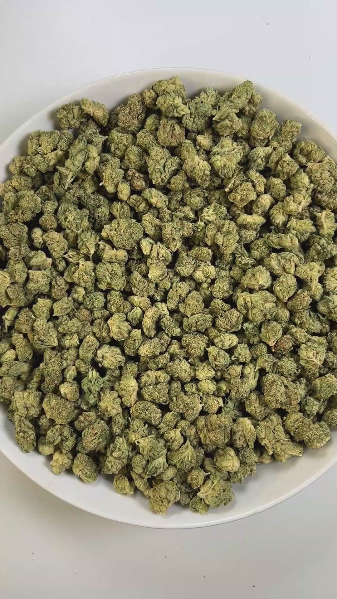 PUFFY GG4 (smalls), also known as Gorilla Glue #4 or Original Glue, is a potent hybrid THCa strain, created from a cross between Chem’s Sister, Sour Dubb, and Chocolate Diesel. The aroma greets the senses with a fresh, herbal blend, earthy undertones, and a crisp hint of eucalyptus. Visually, the buds are dense and chunky, showcasing a vibrant green color accented by fiery orange pistils. Consumers frequently report an intense euphoric high, marked by an uplifting mental buzz that promotes happiness, carefr