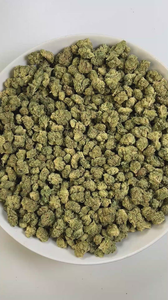 PUFFY GG4 (smalls), also known as Gorilla Glue #4 or Original Glue, is a potent hybrid THCa strain, created from a cross between Chem’s Sister, Sour Dubb, and Chocolate Diesel. The aroma greets the senses with a fresh, herbal blend, earthy undertones, and a crisp hint of eucalyptus. Visually, the buds are dense and chunky, showcasing a vibrant green color accented by fiery orange pistils. Consumers frequently report an intense euphoric high, marked by an uplifting mental buzz that promotes happiness, carefr