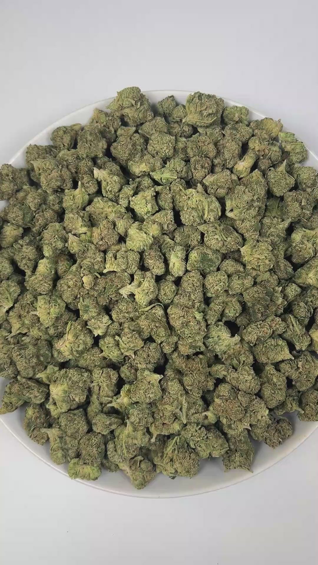 PUFFY Jokerz Candy is an indica-dominant hybrid THCa strain, born from the flavorful cross between Gummiez and Grape Gasoline. The aroma bursts with a bold fusion of sweet grape, pungent diesel, and earthy herbal notes, delivering a distinctive and captivating scent. Visually, the dense buds display forest-green tones with deep purple hues, vibrant orange pistils, and a frosty trichome coating. Consumers often describe the effects as euphoric and uplifting, promoting happiness and mental clarity, followed b