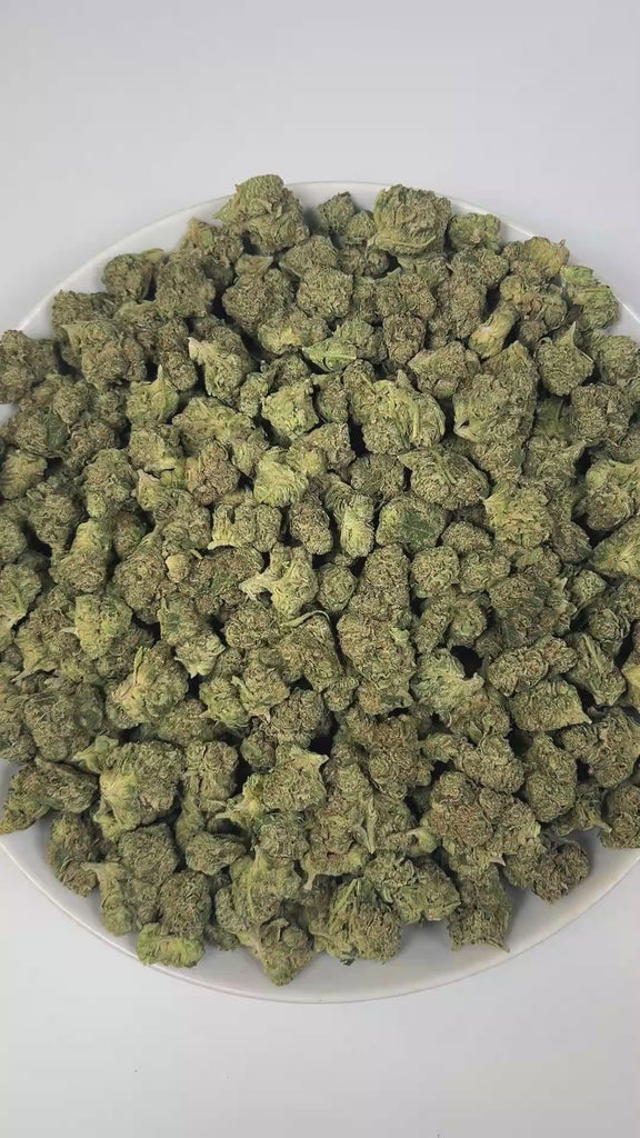 PUFFY Jokerz Candy is an indica-dominant hybrid THCa strain, born from the flavorful cross between Gummiez and Grape Gasoline. The aroma bursts with a bold fusion of sweet grape, pungent diesel, and earthy herbal notes, delivering a distinctive and captivating scent. Visually, the dense buds display forest-green tones with deep purple hues, vibrant orange pistils, and a frosty trichome coating. Consumers often describe the effects as euphoric and uplifting, promoting happiness and mental clarity, followed b