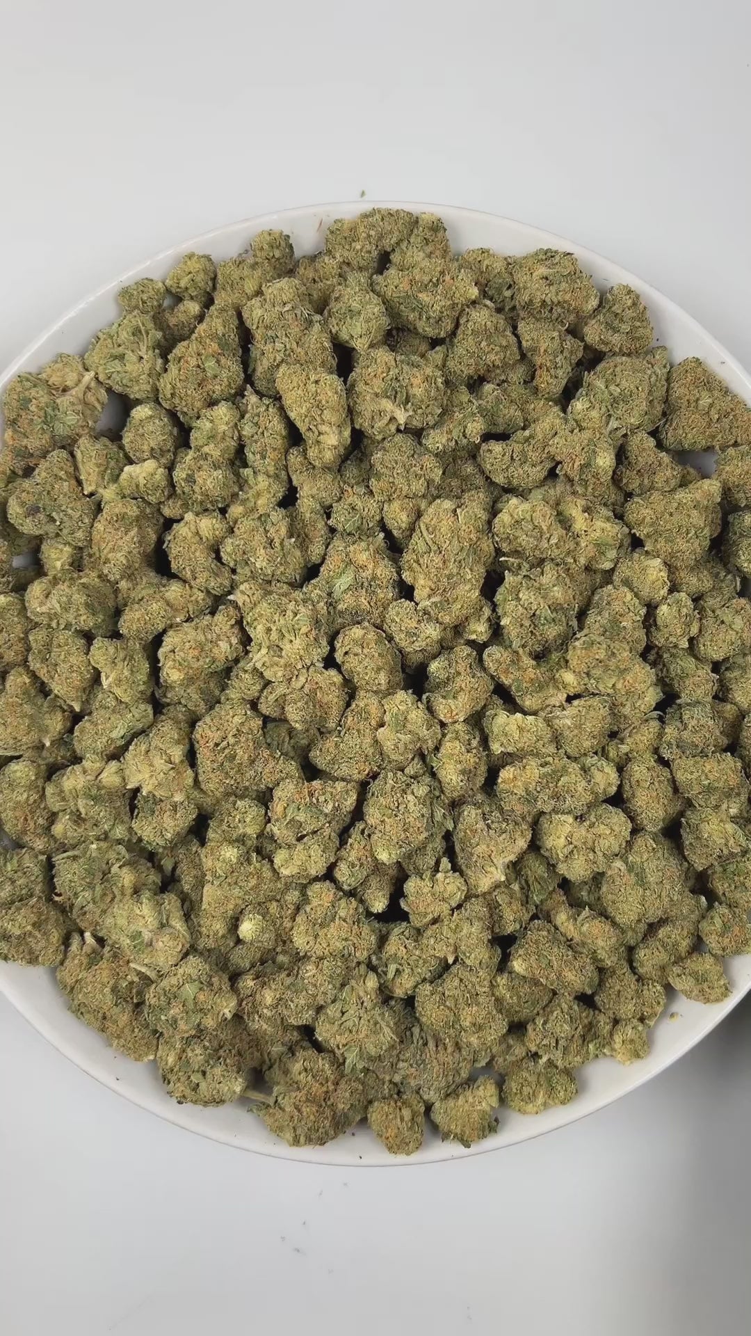 PUFFY Blue Dream is a sativa-dominant hybrid THCa strain born from the legendary cross between Blueberry and Haze. The aroma delights the senses with sweet notes of blueberry, complemented by fresh herbal undertones and a subtle, peppery kick. Visually stunning, its dense, bright green buds are accented by deep blue hues, fiery orange pistils, and a generous dusting of icy trichomes making it as eye-catching as it is effective. Consumers often report a euphoric, uplifting head high that flows into a gentle,