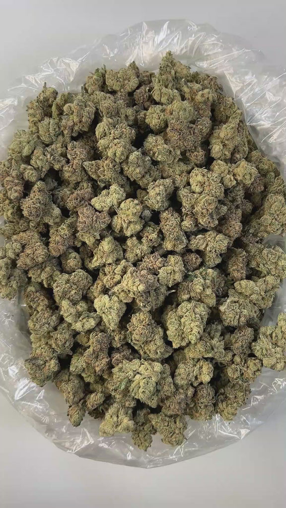 PUFFY Candy Gelato is a balanced hybrid THCa strain born from a complex cross of Blue Oreoz × Cotton Candy Gelato / Candyland × GG4 × Gelato. This strain boasts a rich and grounding scent profile, dominated by deep earthy tones reminiscent of fresh soil, damp dirt, and subtle hints of aged, woody bark. Visually, its dense, colorful nugs range from dark forest green to vibrant purple, often coated in a heavy layer of frosty trichomes. Consumers commonly report a fast-acting euphoric lift, delivering mental s