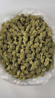 Puffy White Lotus is an indica-dominant hybrid THCa strain resulting from a cross between The White and Snow Lotus. The aroma is a bold medley of funk, ripe peaches, and pungent blue cheese, perfectly mirroring the strain’s complex and unforgettable flavor. Visually, the buds are striking: medium-sized and dense with a light minty-green hue, adorned with olive-toned sugar leaves, fiery orange pistils, and a thick, milky-white layer of trichomes that give it a frosted appearance. Consumers often report that 