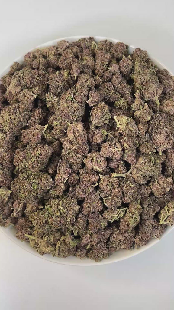 PUFFY Tropical Cherry is a sativa-dominant hybrid THCa strain, typically bred by crossing Tropicana Cookies with Cherry Cookies. The aroma bursts with sweet, fruity notes layered with juicy, tropical richness, creating an inviting and refreshing scent. Visually, the buds are dense and oversized, showcasing deep purple and green tones accented by bright orange pistils and a frosty trichome layer. Consumers often report a vibrant, uplifting high that boosts mood, sparks creativity, and enhances focus while of