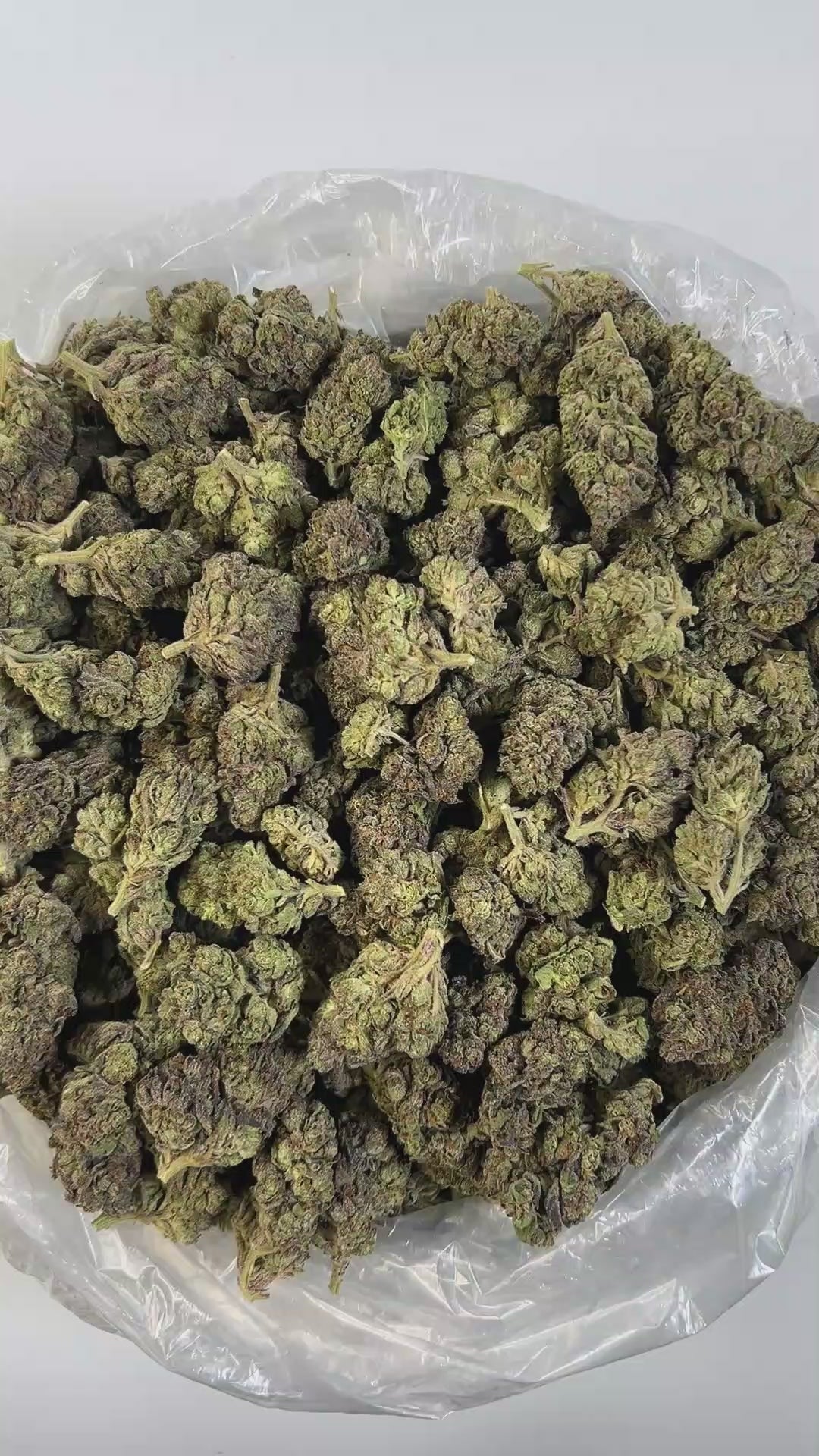 PUFFY Black Ice is a premium Indica-dominant hybrid THCa strain, expertly crafted from the powerful genetic pairing of Black Domina and White Widow. The aroma is rich and complex, blending bold gassy notes with deep earthy undertones and a subtle smoky finish, perfectly mirrored by its equally robust and flavorful taste. Visually, this strain is known for its dense, frosty buds coated in a thick layer of white crystals, showcasing hues that range from dark mint-green to deep purple, accented by vibrant oran