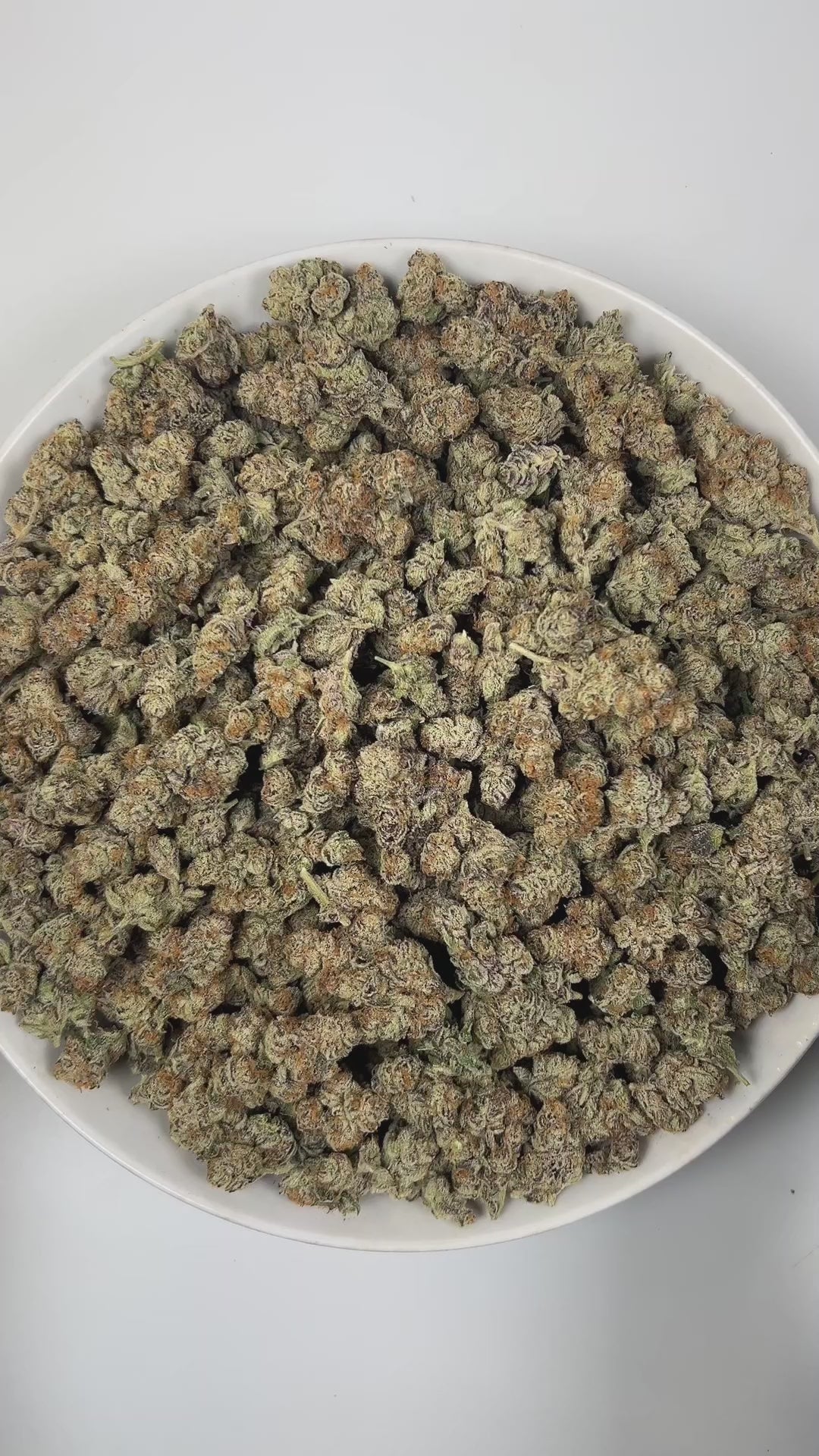 PUFFY Blueberry Muffin is an indica-dominant hybrid THCa strain, crafted by crossing the renowned Blueberry with Purple Panty Dropper. The aroma bursts with vibrant fruity notes, accented by a sweet, candy-like essence and lively, zesty highlights that create an invigorating and uplifting scent. Visually, the buds are dense, with rich green and purple tones, bright orange pistils, and a frosty layer of trichomes. Consumers often report a euphoric, uplifting experience that gently elevates mood, eases tensio