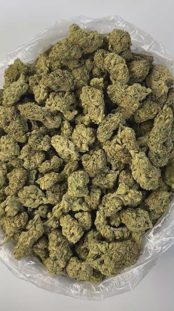 PUFFY Lemon Kush is a well-balanced hybrid THCa strain resulting from a cross between Master Kush and Lemon Joy. It boasts a bold and invigorating lemon aroma layered with earthy and herbal undertones. The flavor profile mirrors its scent sweet and tangy lemon notes accented by subtle hints of spice and earthiness. Visually, the buds are light green with yellow highlights, generously coated in frosty trichomes and accented by vibrant orange pistils. Consumers often report an uplifted mood and a sense of eup