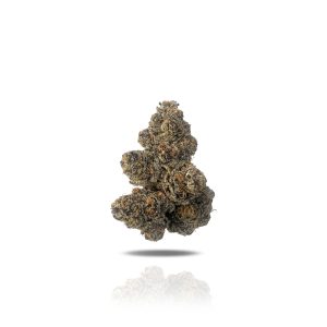 PUFFY Purple Milk THCa is an alluring hybrid strain that displays rich, dark purple hues with mint green undertones, thick curly orange hairs, and a thick coating of bright sparkly trichomes. A cross between the fruity strains Purple Punch and Cookie Monster, it provides calming effects that are perfect for unwinding after a long day and offers a balanced blend of relaxation and euphoria. Users often appreciate its ability to relieve stress while promoting a sense of happiness and calm. This versatile strain is ideal for both social settings and quiet evenings at home.