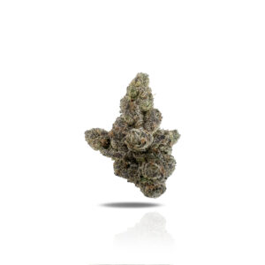 PUFFY Lemon Cherry Gelato THCa is a legendary hybrid strain featuring a unique blend of refreshing citrus and tart cherry notes balanced with creamy undertones. Born from crossing Girl Scout Cookies with Sunset Sherbet, users often report this slightly indica-leaning hybrid delivers a head high followed by a gently calming body buzz, often sparking sociability and an elevated mood. Lemon Cherry Gelato is known for its smooth, flavorful smoke, and well-rounded effects, making it a versatile choice for enhancing stress relief, social gatherings, or solo relaxation.