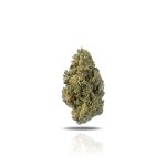 PUFFY Grape Cream Cake is a indica-dominant-hybrid THCa strain born from the genetics of Grape Pie and Wedding Crasher. Renowned for its mouthwatering aroma and taste, it features a harmonious blend of fruity grape and cherry notes accented by a hint of nutty vanilla. Consumers report that this strain delivers deep relaxation, happiness, and sleep-inducing effects, making it a top choice for relieving chronic pain, insomnia, and stress with ease and comfort. Its visual appeal is just as impressive, boasting dense, frosty buds with striking purple hues and a shimmering layer of trichomes, adding to its allure.