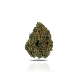 PUFFY Gelato 41 is a hybrid THCa strain, crafted from the fusion of Sunset Sherbert and Thin Mint Cookies. Users reported its ability to deliver a deeply relaxing body high while keeping the mind clear, it’s a favorite for unwinding without losing focus. Its visually stunning buds showcase a spectrum of colors, from light green to vibrant purple, all dusted with trichomes that emit a sweet, earthy aroma with subtle hints of lavender and pine.