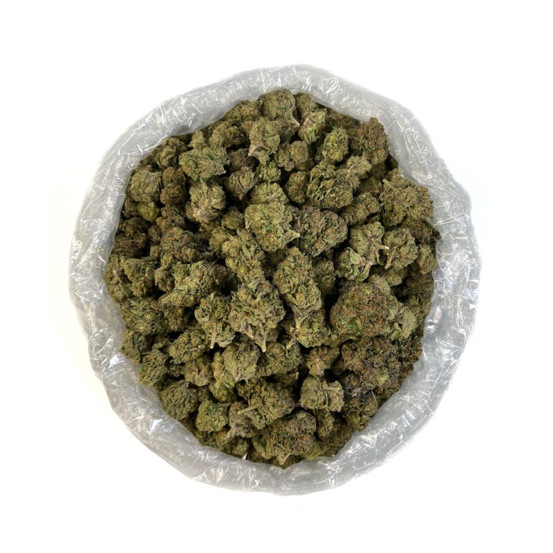 PUFFY Bacio Gelato is a top-shelf hybrid THCa strain, expertly bred from Sunset Sherbert and Thin Mint Girl Scout Cookies. It offers a bold and sophisticated flavor profile: sweet and sour berries layered with a cool minty finish that lingers on the palate. The aroma is a vibrant mix of sweet citrus and fresh woody notes, creating a scent that’s both refreshing and grounding. Visually, the dense, resin-rich buds are a stunning display of vibrant green and deep purple hues, interwoven with fiery orange pistils and generously coated in glistening trichomes, an unmistakable sign of its powerful potency. Consumers often describe it as delivering a deeply soothing body high complemented by a gentle wave of mental euphoria. Favored for its ability to ease stress, reduce anxiety, relieve chronic pain, and support restful sleep, it’s an ideal end-of-day strain that promotes total relaxation and balanced bliss.