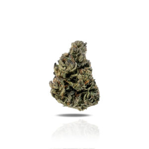PUFFY Bacio Gelato is a top-shelf hybrid THCa strain, expertly bred from Sunset Sherbert and Thin Mint Girl Scout Cookies. It offers a bold and sophisticated flavor profile: sweet and sour berries layered with a cool minty finish that lingers on the palate. The aroma is a vibrant mix of sweet citrus and fresh woody notes, creating a scent that’s both refreshing and grounding. Visually, the dense, resin-rich buds are a stunning display of vibrant green and deep purple hues, interwoven with fiery orange pistils and generously coated in glistening trichomes, an unmistakable sign of its powerful potency. Consumers often describe it as delivering a deeply soothing body high complemented by a gentle wave of mental euphoria. Favored for its ability to ease stress, reduce anxiety, relieve chronic pain, and support restful sleep, it’s an ideal end-of-day strain that promotes total relaxation and balanced bliss.