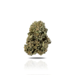 PUFFY Blue Cookies THCa is a powerful indica-dominant hybrid born from the legendary pairing of Girl Scout Cookies and Blueberry. This strain delights the senses with a sweet, dessert-like flavor profile, think ripe berries, cherries, and subtle earthy notes, reminiscent of a warm blueberry muffin. The aroma is equally inviting, with creamy blueberry overtones layered with a gentle earthiness. Visually, the buds are dense and resinous, showcasing deep shades of green and purple, generously coated in frosty trichomes. Consumers frequently describe the experience as euphoric and deeply relaxing, bringing on waves of happiness and calm perfect for winding down or easing stress.