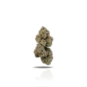 PUFFY Super Kush is an indica-dominant THCa strain born from the legendary pairing of Northern Lights #5 and Hindu Kush. The aroma is a rich blend of earthy undertones, zesty citrus notes, and sweet, berry-like hints that create a uniquely inviting scent. The presence of terpinolene adds a refreshing floral layer that elevates its overall profile. Visually, the buds are striking aqua-green in color, highlighted by fiery orange pistils that catch the eye. Consumers often report a calming, clear-headed high that promotes relaxation without heavy sedation, making it ideal for unwinding while staying mentally present.