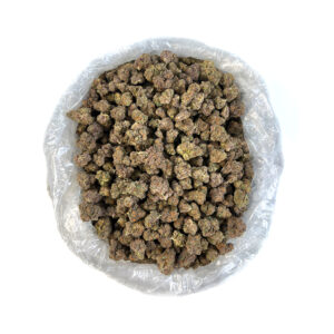 PUFFY Gelato #41 is a slightly indica-dominant hybrid THCa strain, born from the flavorful union of Sunset Sherbet and Thin Mint Girl Scout Cookies. This strain boasts a rich and layered aroma, blending sweet notes with tropical guava and a floral hint of lavender. Expect a burst of fruity sweetness balanced by zesty citrus, smooth vanilla, and a cool touch of mint. Its dense, eye-catching buds showcase a vibrant palette of forest green and deep purples, highlighted by fiery orange pistils and a thick frost of glistening white trichomes. Consumers often describe an initial wave of uplifting euphoria that energizes the mind, boosts creativity, and sparks a sense of joyful clarity. As the experience unfolds, a gentle, soothing body relaxation sets in melting away tension without a heavy or sedative effect making it perfect for unwinding while staying mentally refreshed.