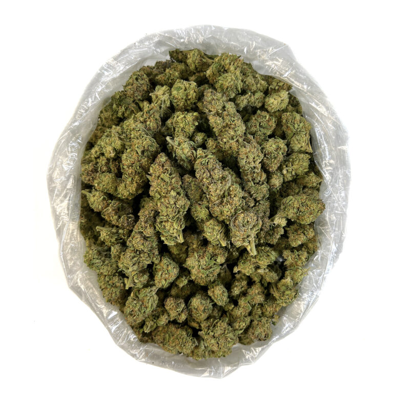 PUFFY Ice Cream Cookies is a indica-dominant hybrid THCa strain, created from the celebrated cross of Gelato 33 and Wedding Cake. It delivers a rich, creamy vanilla flavor with buttery mint notes and a hint of sour citrus, while its aroma is a rich blend of sweet creaminess with candy-like notes that linger on the nose. The buds are dense and frosty, displaying a vibrant forest green color with deep purple undertones that become more prominent in cooler growing conditions. Consumers often describe the experience as an uplifting cerebral euphoria that boosts mood and creativity, followed by a deep physical relaxation that can lead to sedation and restful sleep.