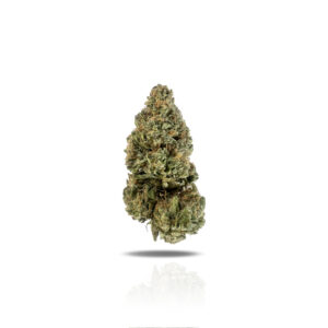 PUFFY Ice Cream Cookies is a indica-dominant hybrid THCa strain, created from the celebrated cross of Gelato 33 and Wedding Cake. It delivers a rich, creamy vanilla flavor with buttery mint notes and a hint of sour citrus, while its aroma is a rich blend of sweet creaminess with candy-like notes that linger on the nose. The buds are dense and frosty, displaying a vibrant forest green color with deep purple undertones that become more prominent in cooler growing conditions. Consumers often describe the experience as an uplifting cerebral euphoria that boosts mood and creativity, followed by a deep physical relaxation that can lead to sedation and restful sleep.