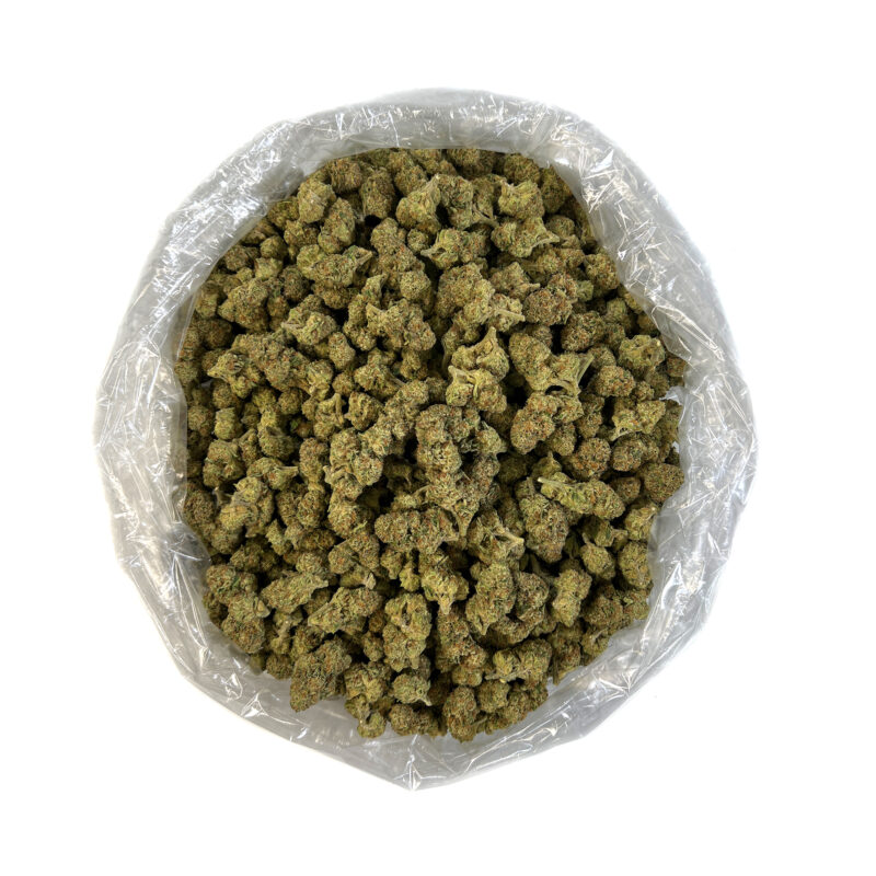 PUFFY Lemon Push Pop is a premium balanced hybrid THCa strain, born from the flavorful cross of Cookies & Cream and Temple Flo. It delivers an irresistibly sweet, fruity candy flavor layered with creamy vanilla and a subtle kick of spicy pepper. The aroma is a vibrant blend of lemon zest, citrus, creamy vanilla, and fresh berries. Visually striking with vibrant light green buds, fiery orange hairs, and a heavy blanket of glistening trichomes that give it a frosted, crystal-like appearance. Consumers often describe the experience as uplifting and euphoric, sparking a creative and outgoing mood. A gentle, full-body tingling sensation accompanies the high, making it perfect for social settings or artistic pursuits without overwhelming sedation.