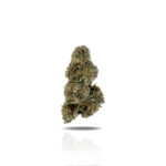 PUFFY Lemon Push Pop is a premium balanced hybrid THCa strain, born from the flavorful cross of Cookies & Cream and Temple Flo. It delivers an irresistibly sweet, fruity candy flavor layered with creamy vanilla and a subtle kick of spicy pepper. The aroma is a vibrant blend of lemon zest, citrus, creamy vanilla, and fresh berries. Visually striking with vibrant light green buds, fiery orange hairs, and a heavy blanket of glistening trichomes that give it a frosted, crystal-like appearance. Consumers often describe the experience as uplifting and euphoric, sparking a creative and outgoing mood. A gentle, full-body tingling sensation accompanies the high, making it perfect for social settings or artistic pursuits without overwhelming sedation.