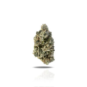 PUFFY Grease Monkey is a potent indica-dominant hybrid THCa strain, born from the cross of Gorilla Glue #4 and Cookies and Cream. It boasts a pungent, skunky-sweet aroma layered with strong notes of diesel, vanilla, and earthy undertones. The flavor mirrors this complexity, blending sweet and nutty tones with hints of creamy vanilla and skunky fuel. Visually, the buds are dense, sticky, and generously coated in frosty trichomes, displaying deep green and purple hues woven with fiery orange pistils. Consumers often report an initial cerebral buzz that uplifts the mood and sparks creativity, followed by a wave of deep body relaxation and soothing sedation, making it ideal for easing tension and stress.