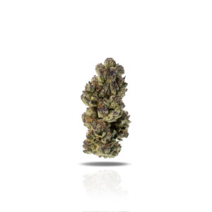 PUFFY Jelly Donut is an indica-dominant hybrid THCa strain, born from the flavorful cross between Girl Scout Cookies and King Louis XIII. This strain offers a sweet and citrusy flavor profile with rich doughy and nutty undertones. Its aroma is just as appealing, blending minty earth with hints of light, fruity citrus. Visually, the buds are dense and resinous, generously coated in a frosty layer of trichomes and highlighted by vibrant orange pistils. Consumers commonly describe an uplifting, mood-enhancing high that starts with a wave of cerebral euphoria and gradually transitions into a soothing body relaxation. This balanced effect makes it ideal for easing stress, anxiety, and chronic pain offering relief without excessive sedation.