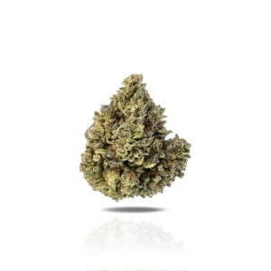 PUFFY ORZ Blizzard is a premium indica-dominant hybrid THCa strain, born from the flavorful cross of Ice Cream Cake and Sunset Sherbet. Its taste profile is a delightful fusion of creamy vanilla and sweet citrus, rounded out by subtle hints of chocolate and mint. The aroma complements the flavor beautifully, offering a blend of sweet vanilla, fruity notes, and a whisper of earthy diesel. Visually, the buds are dense and chunky, coated in a thick layer of frosty trichomes that give them a sparkling, high-quality appearance. Consumers often experience a balanced high that starts with a cerebral uplift enhancing focus and creativity before transitioning into a soothing body relaxation. The overall effects include euphoria, calmness, and increased sociability, making PUFFY ORZ Blizzard an ideal strain for both daytime and evening use.