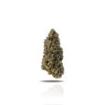 PUFFY Purple Gelato is a balanced hybrid THCa strain, born from the flavorful cross of Sunset Sherbet and Thin Mint Girl Scout Cookies. Its aroma offers a sweet and fruity bouquet with rich notes of grape, spicy cherry, and a subtle hint of peppery diesel. The flavor profile delights the senses with a blend of sugary berries, ripe cherries, and spicy grapes, delivering a smooth and indulgent experience. Visually, the buds are dense and grape-shaped, featuring vibrant emerald-green tones with deep purple undertones, bright orange pistils, and a frosty layer of purple-tinted trichomes. Consumers often describe the effects as a euphoric cerebral high that sparks creativity and mental clarity, followed by a soothing body relaxation that melts away physical tension.