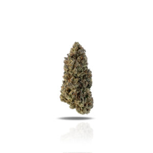 PUFFY Purple Gelato is a balanced hybrid THCa strain, born from the flavorful cross of Sunset Sherbet and Thin Mint Girl Scout Cookies. Its aroma offers a sweet and fruity bouquet with rich notes of grape, spicy cherry, and a subtle hint of peppery diesel. The flavor profile delights the senses with a blend of sugary berries, ripe cherries, and spicy grapes, delivering a smooth and indulgent experience. Visually, the buds are dense and grape-shaped, featuring vibrant emerald-green tones with deep purple undertones, bright orange pistils, and a frosty layer of purple-tinted trichomes. Consumers often describe the effects as a euphoric cerebral high that sparks creativity and mental clarity, followed by a soothing body relaxation that melts away physical tension.