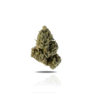 PUFFY Triangle Kush is an indica-dominant hybrid THCa strain, born from a cross between Hindu Kush and a classic Emerald Triangle variety. Its aroma is rich and layered, combining earthy, skunky, and woody notes with subtle hints of citrus and spice. The flavor profile reflects this complexity delivering a bold, spicy lemon-citrus taste rounded out by smooth, woody undertones. Visually, the buds are small to medium in size with a spade-like shape and a slightly pointed tip, they display a deep forest green hue, highlighted by vibrant orange pistils and a thick coating of frosty white trichomes. Consumers frequently describe effects that begin with a calming body sensation that helps ease stress and anxiety, followed by an uplifting cerebral high that boosts mood, sociability, and creative thinking.